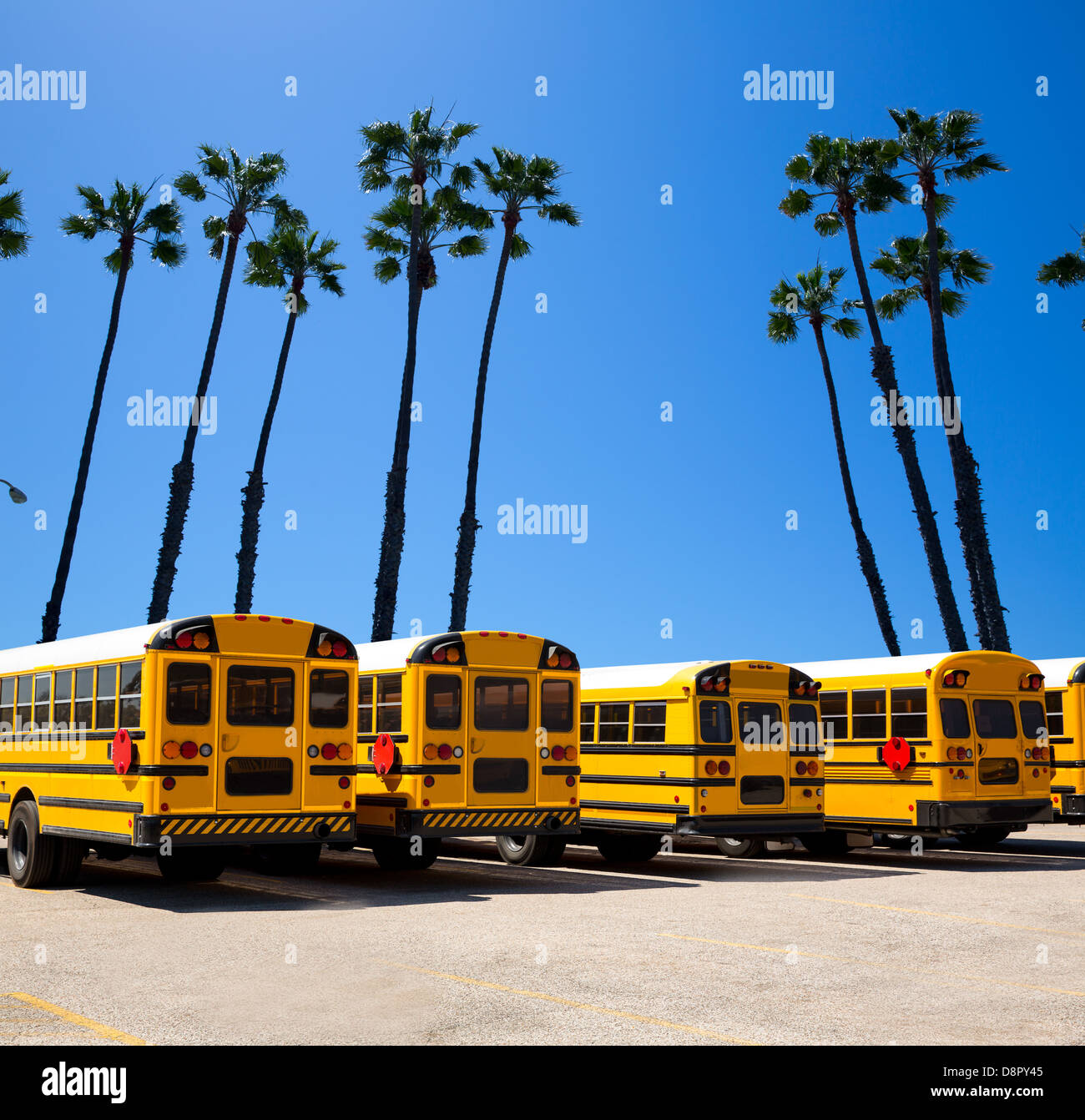 American School bus riga California con palme per montaggio di foto Foto Stock