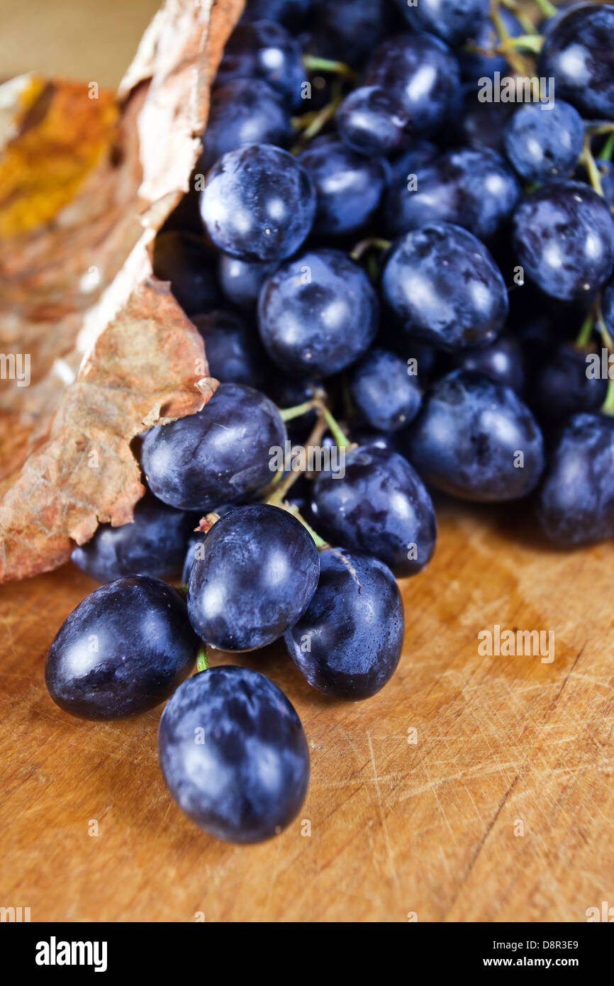 Mature uve blu e la asciugò foglie marrone Foto Stock