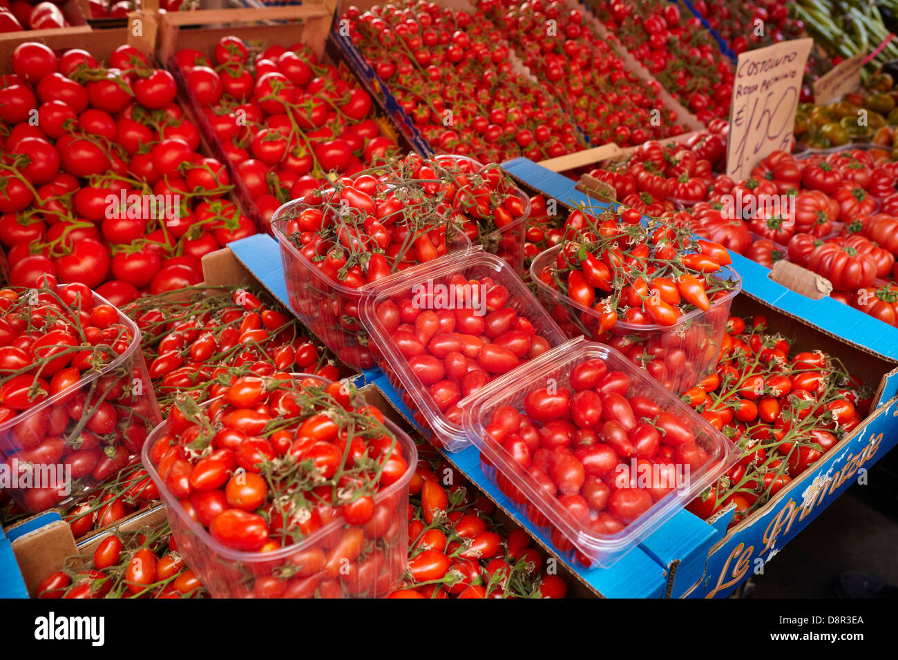 Pomodoro - molti tipi di pomodoro siciliano verdure, mercato alimentare di Ortigia, Siracusa, Sicilia, Italia Foto Stock