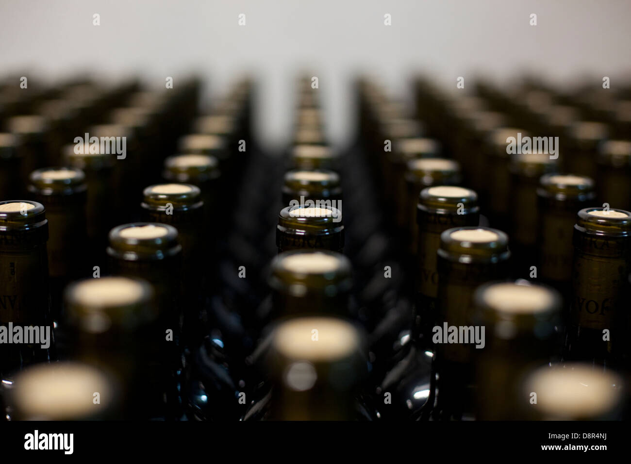 Bottiglie di vino stoccato in una cantina Foto Stock