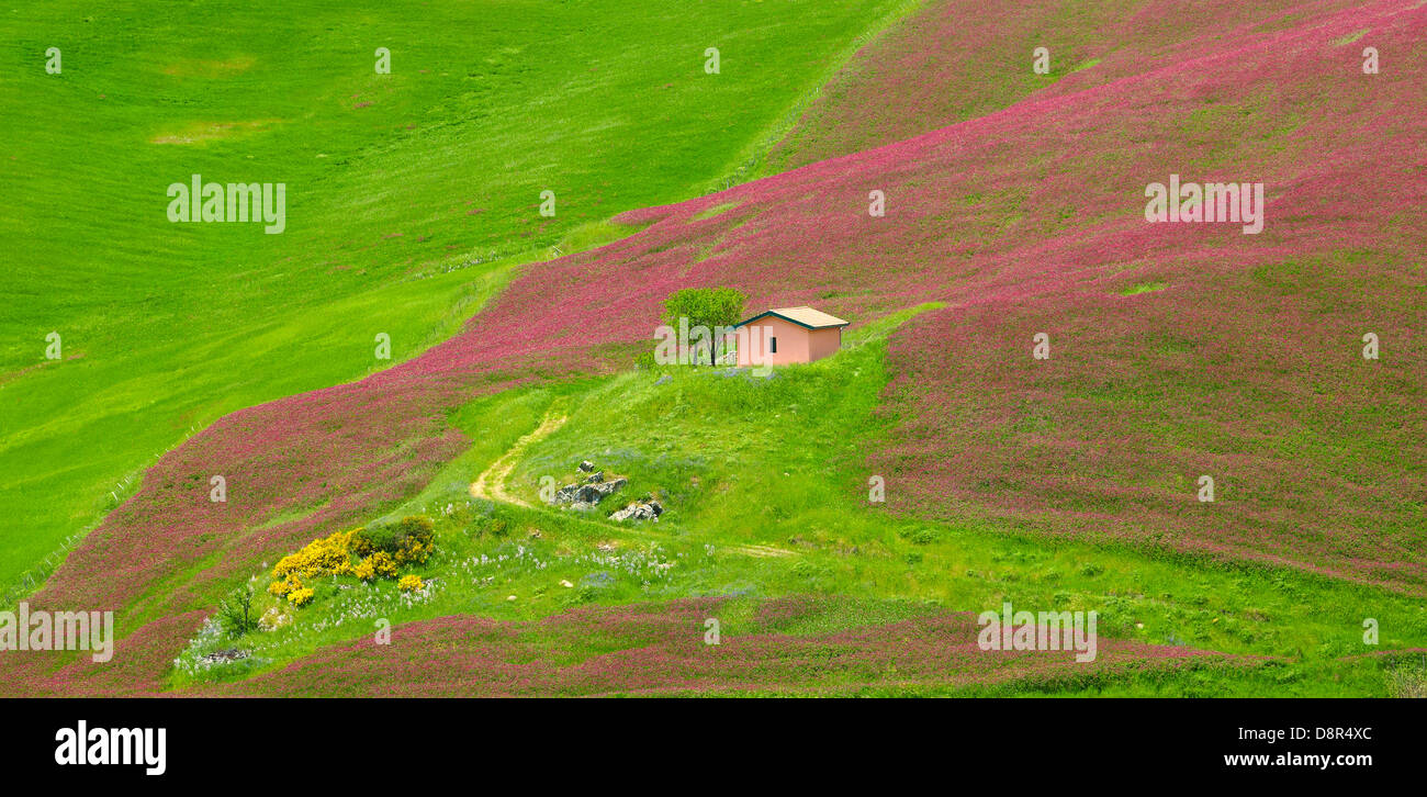 Molla di sicilia paesaggio con fiori in Sicilia centrale, Italia Foto Stock