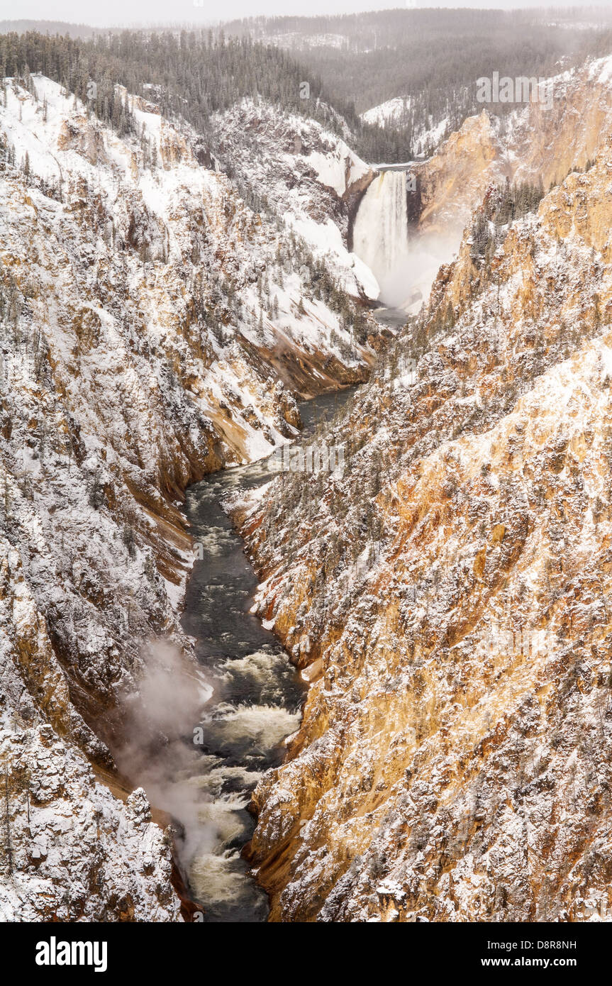 Il fiume Yellowstone cade sopra le Cascate Inferiori nel Grand Canyon di Yellowstone nel sud del Parco Nazionale di Yellowstone. Foto Stock