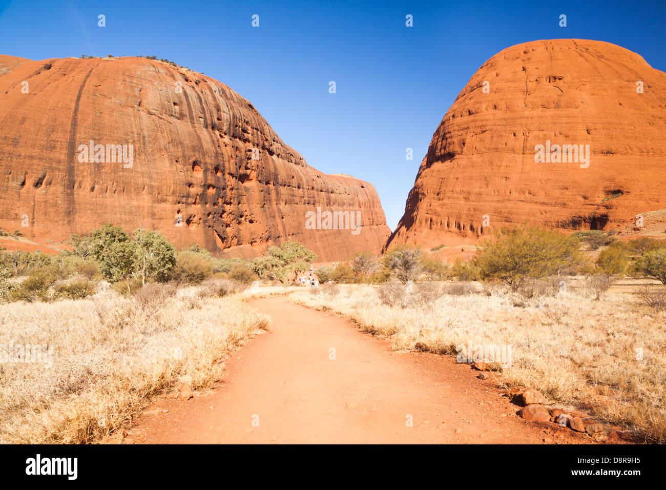 Kata Tjuta (mount Olgas) nell'outback Red Centre, Territorio del Nord, l'Australia. Foto Stock