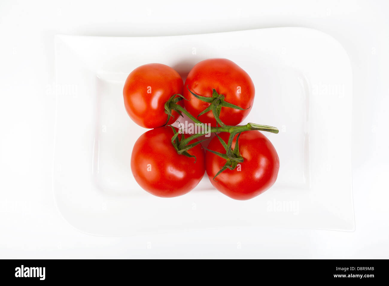 Tutto quattro pomodori a grappolo su una bianca piastra di porcellana Foto Stock