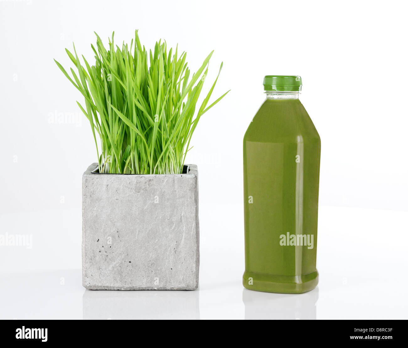 Wheatgrass e una bottiglia di fresco succo verde, su sfondo bianco. Foto Stock