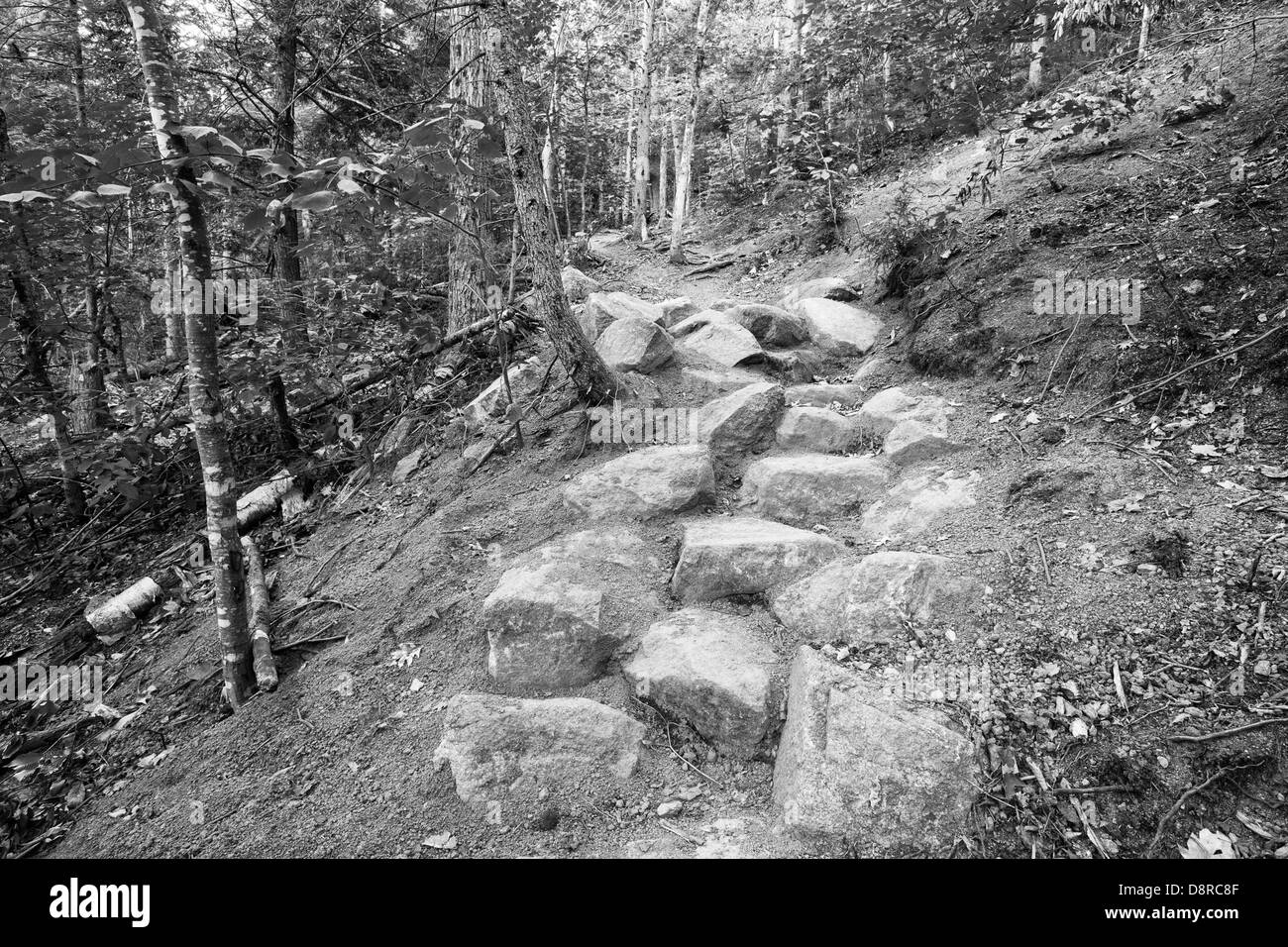 Gamma presidenziale-fiume secco deserto - di nuova costruzione di gradini di pietra lungo il percorso di Davis durante i mesi estivi nelle White Mountains, New Hampshire. Questo è un esempio di gradini in pietra costruito da un professionista AMC trail equipaggio Foto Stock