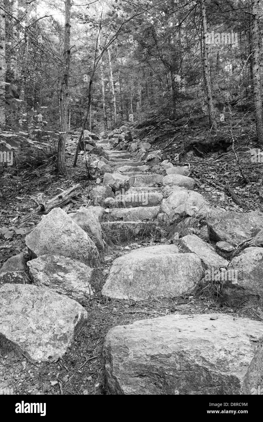 Gamma presidenziale-fiume secco deserto - gradini in pietra lungo il percorso di Davis durante i mesi estivi nelle White Mountains, New Hampshire. Foto Stock