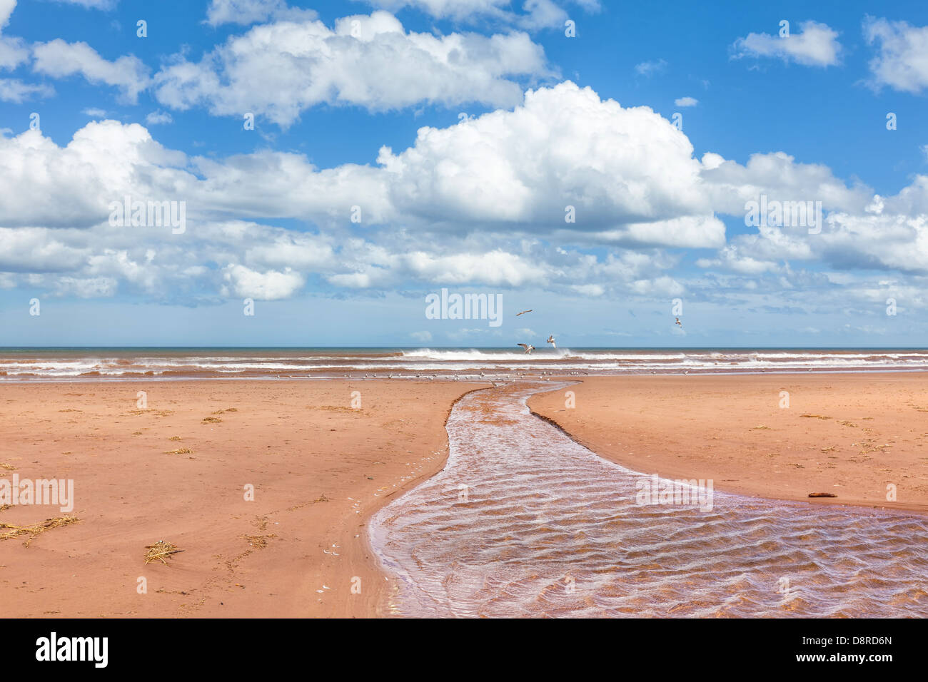 Un piccolo ruscello in esecuzione attraverso la sabbia all'Oceano su un Prince Edward Island Beach. Foto Stock