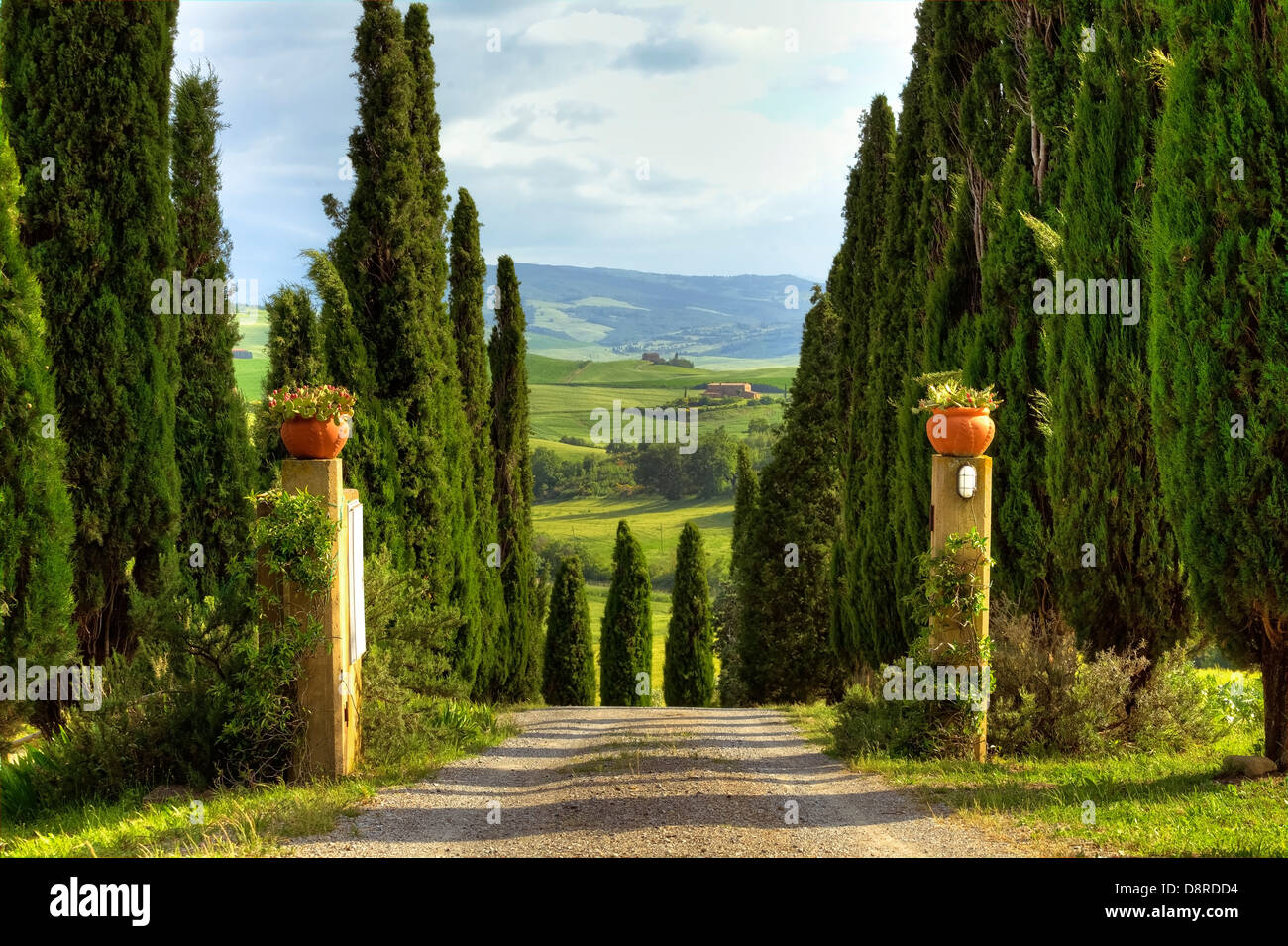 Ingresso in una casa di campagna con cipressi in Toscana, Italia Foto Stock