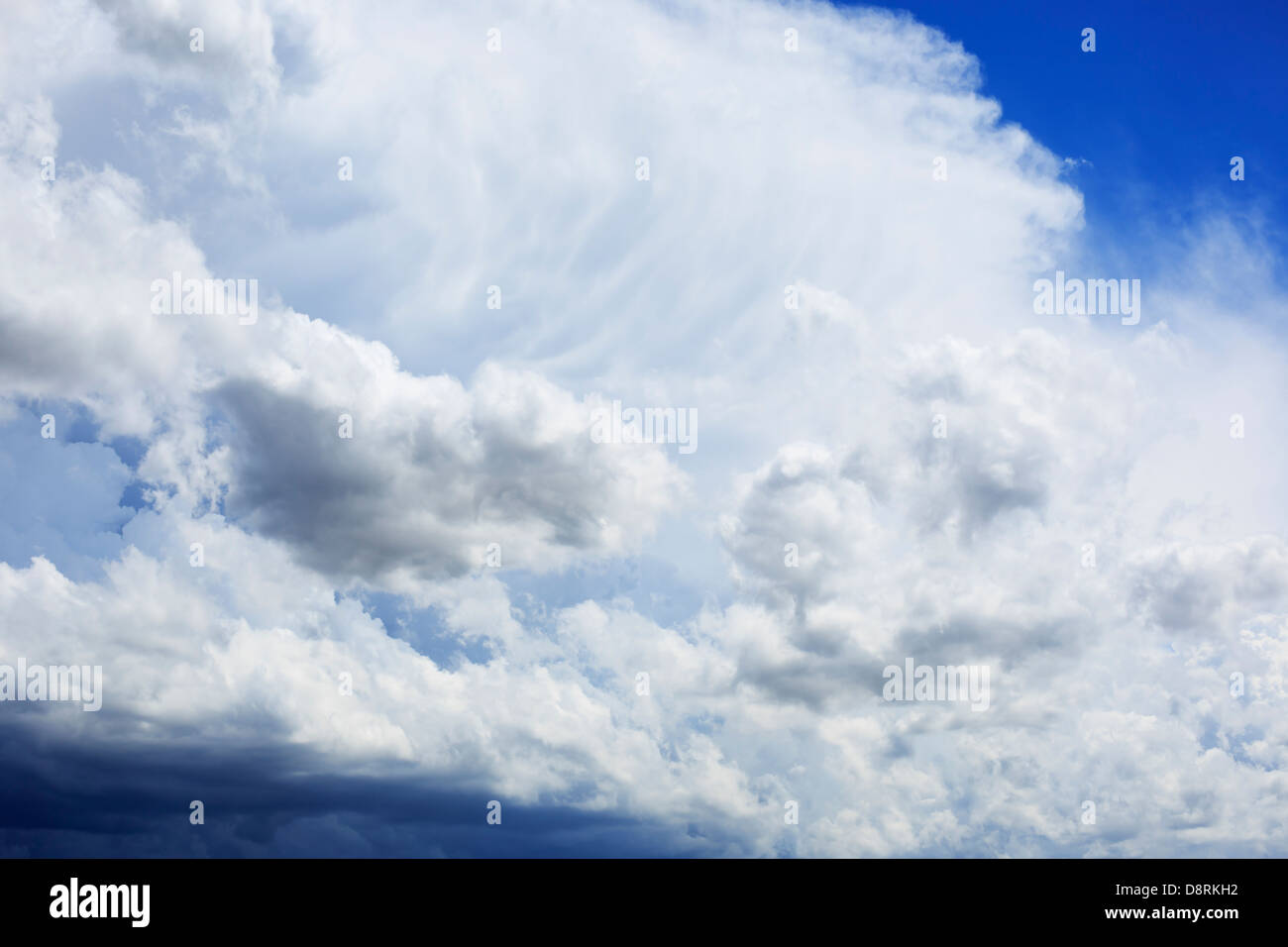 Estate nuvole temporalesche edificazione nel Midwest, STATI UNITI D'AMERICA. Foto Stock