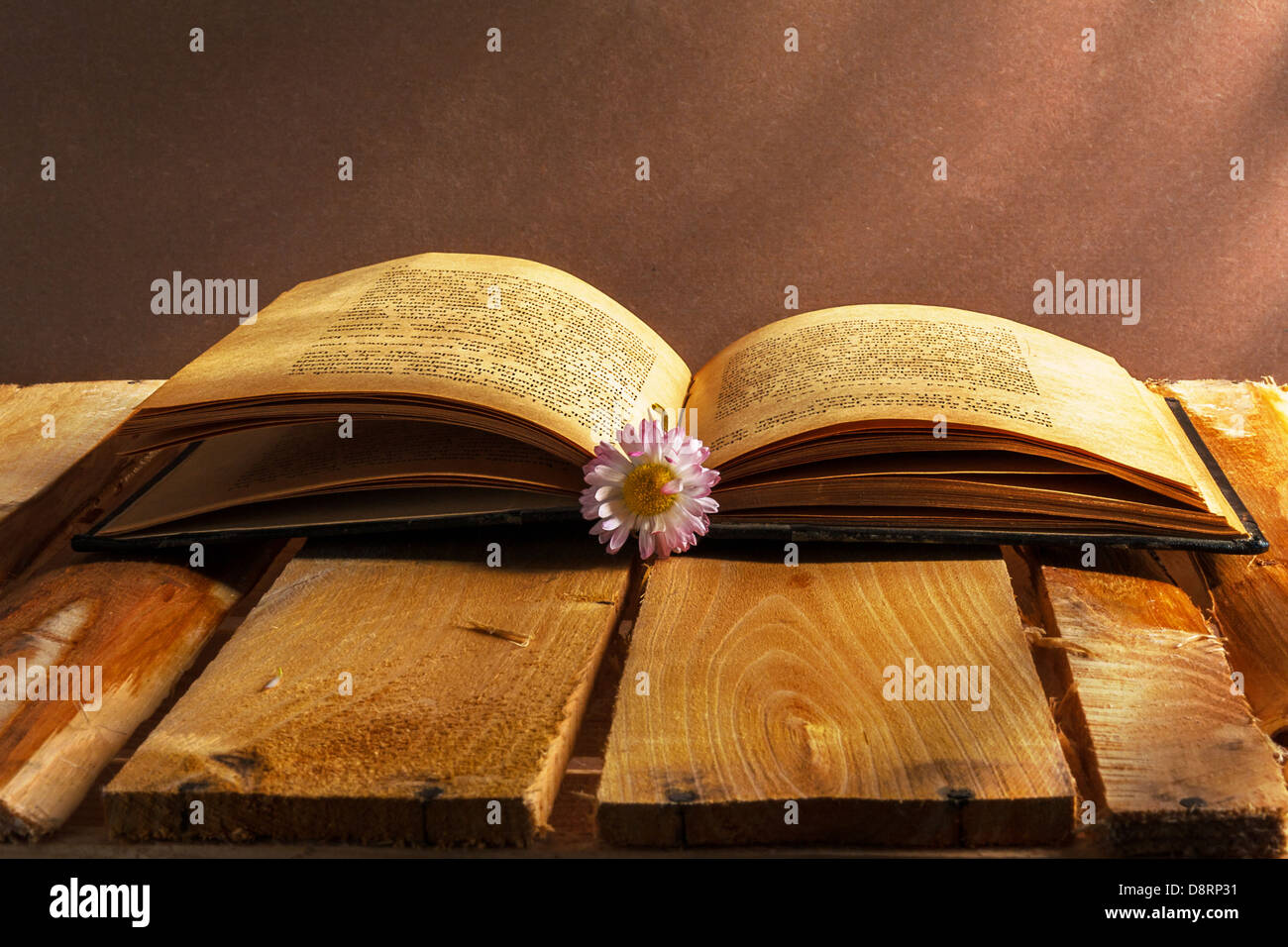 Aprire il vecchio libro con daisy su sfondo di legno Foto Stock