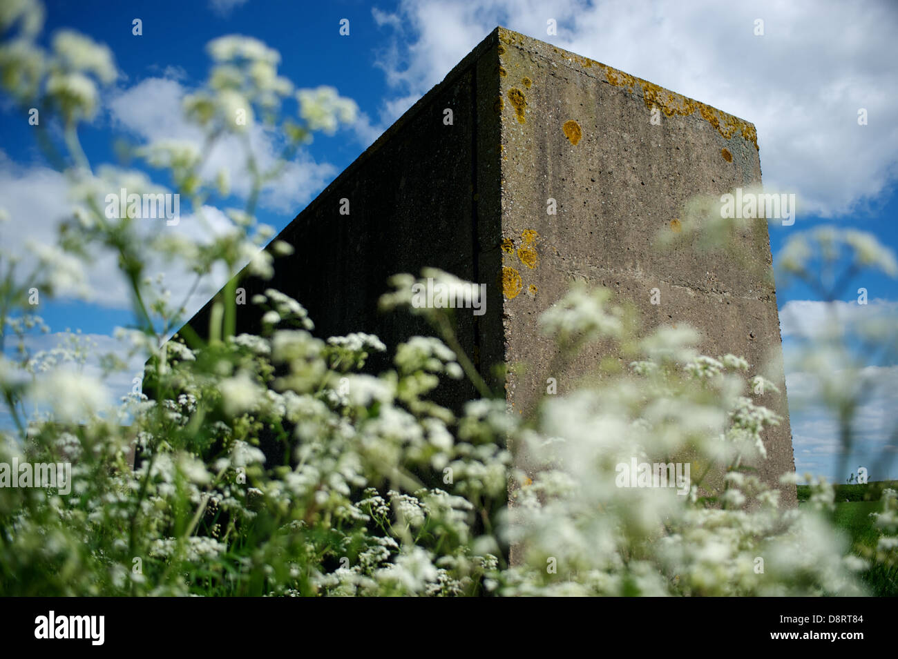 Blocco monolitico circondato da cowslips, cielo blu e nuvole. Foto Stock