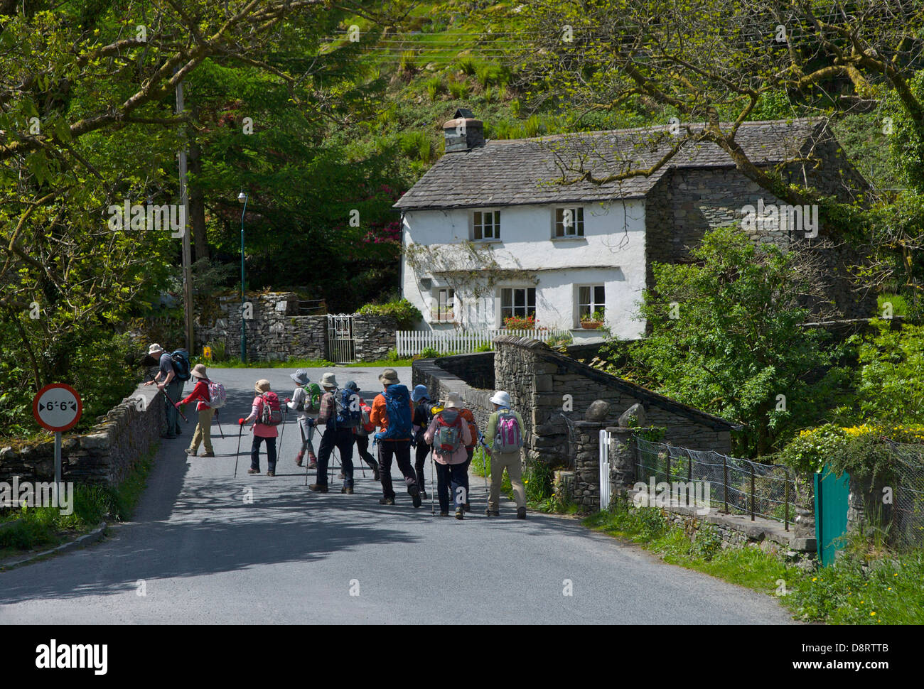 Visitatori giapponesi a piedi attraverso il villaggio di Elterwater, Langdale, Parco Nazionale del Distretto dei Laghi, Cumbria, England Regno Unito Foto Stock