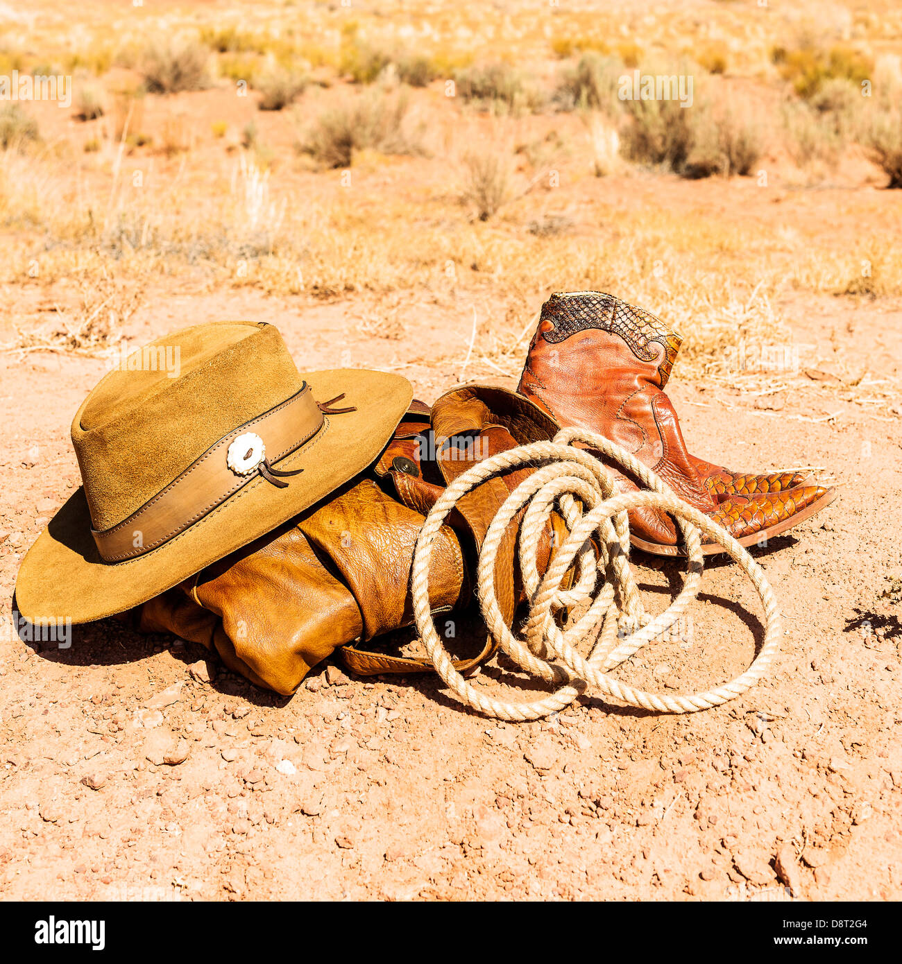Il rancher oggetti nel mezzo del deserto Sud Occidentale, STATI UNITI D'AMERICA Foto Stock