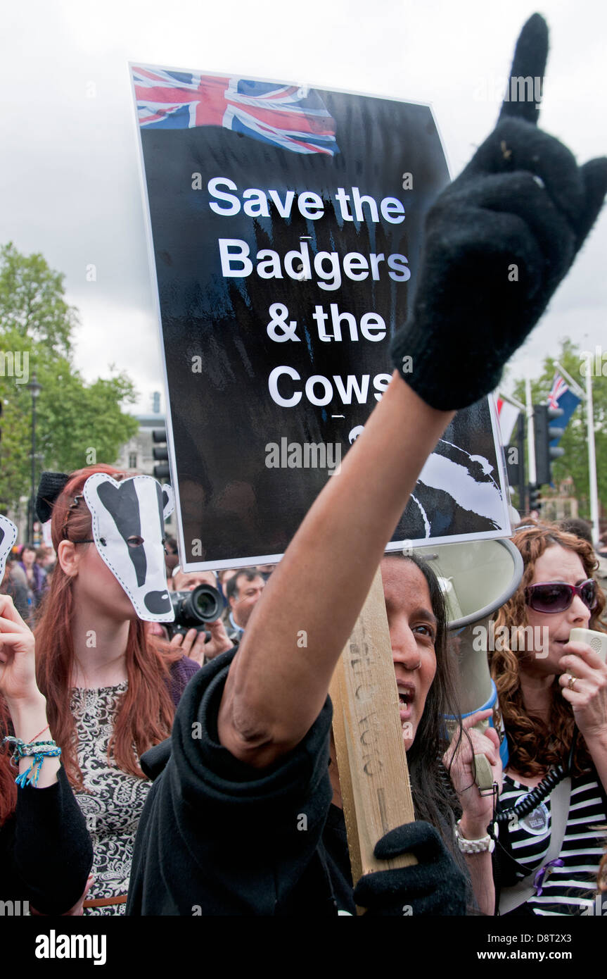 Salvare il Badgers vengano abbattuti protesta attraverso il centro di Londra Foto Stock