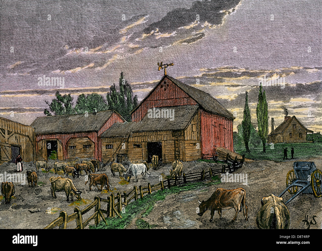 I bovini e i fienili di un canadese homestead circa 1850. Colorate a mano la xilografia Foto Stock