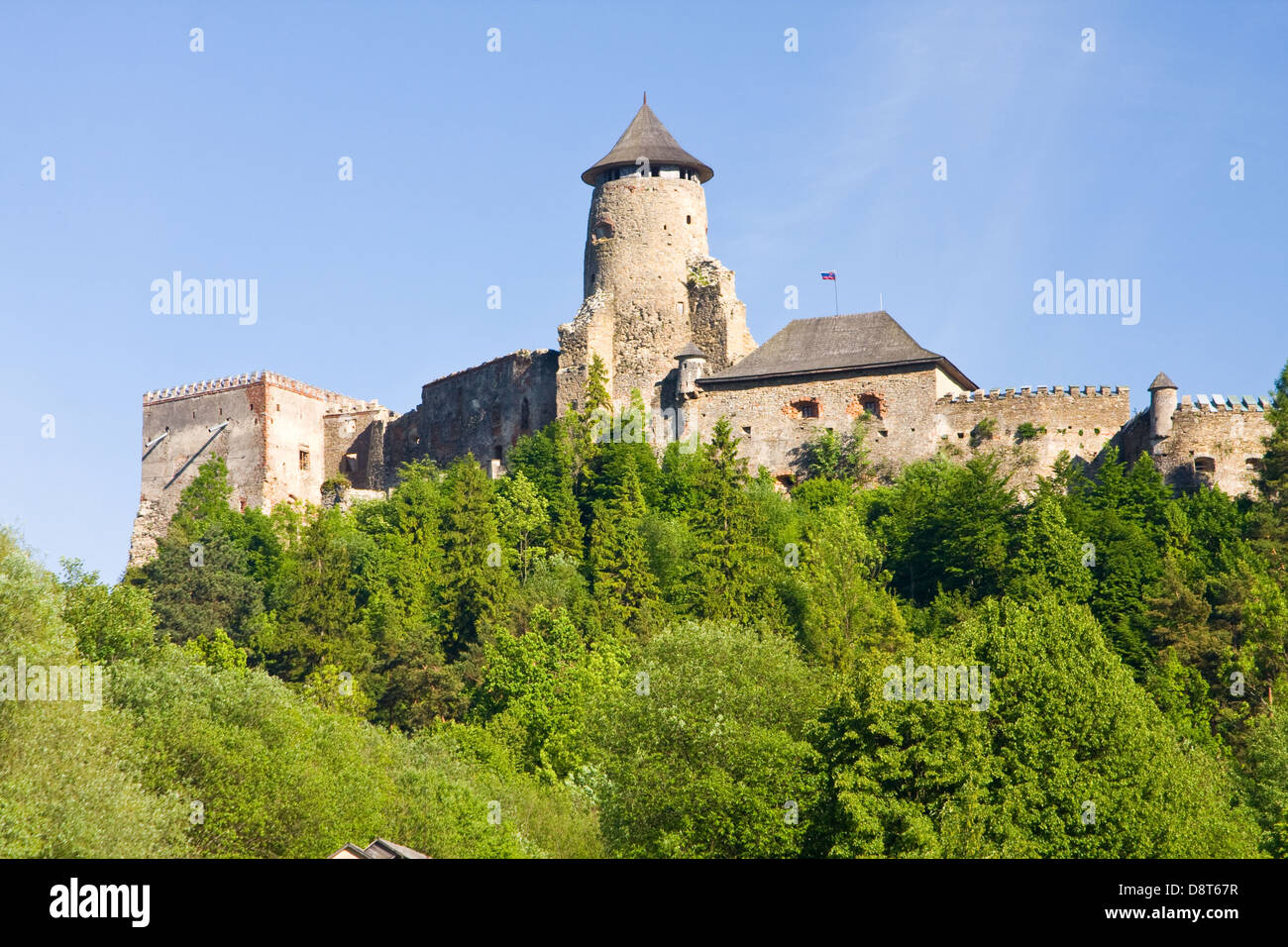 Stara Lubovna Castello, Slovacchia Foto Stock