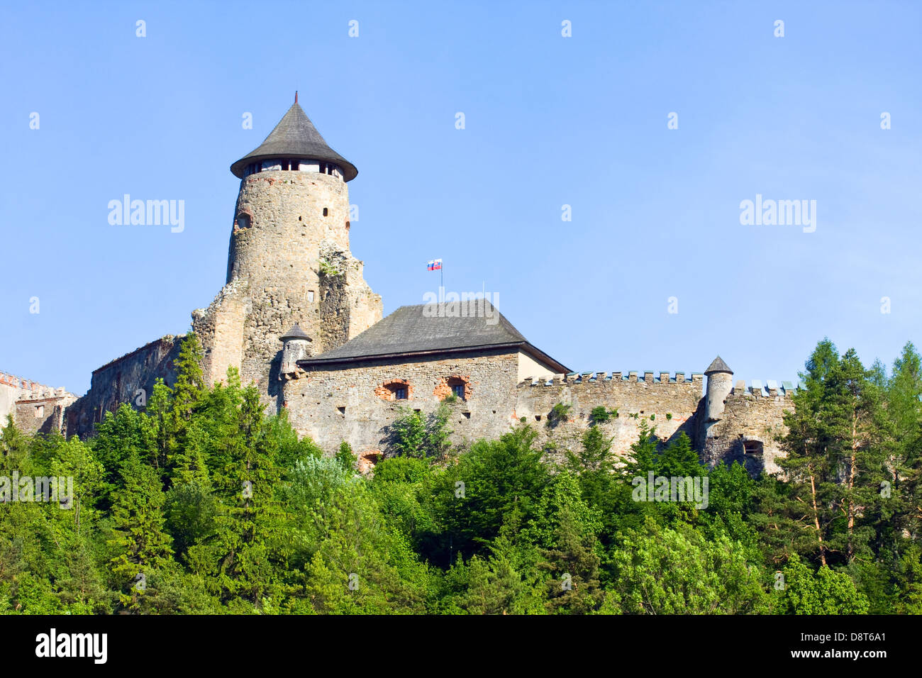 Stara Lubovna Castello, Slovacchia Foto Stock