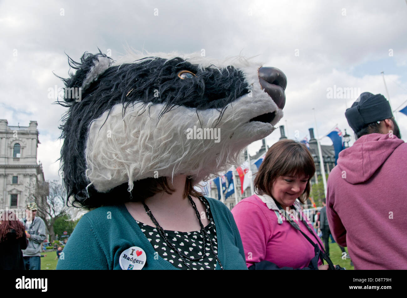 Salvare il Badgers vengano abbattuti protesta attraverso il centro di Londra Foto Stock