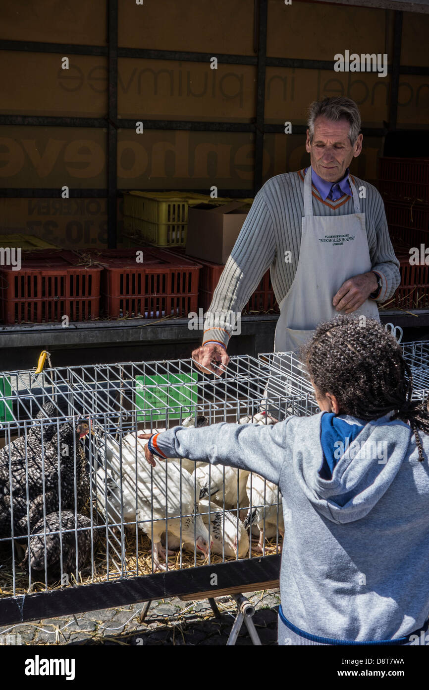 Stallholder nel pollame di stand e bambino guardando nelle galline in gabbie per la vendita all interno del mercato degli animali Foto Stock
