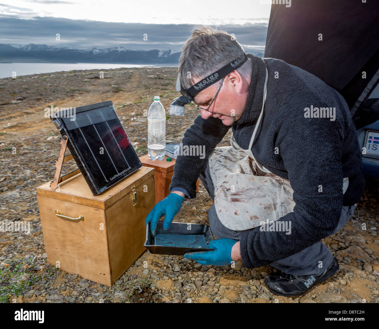 Fotografo utilizzando piastre bagnate (processo di collodio) per immagini creative, Eyjafordur, Akureyri, Islanda Foto Stock