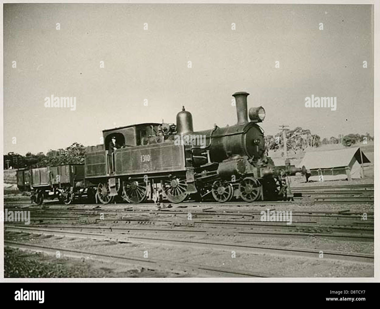 Una fotografia d'archivio in bianco e nero della locomotiva della classe Z1310, scattata nel 1941. Il motore a vapore è in funzione nel nuovo Galles del Sud, Australia, evidenziando il trasporto ferroviario storico. Foto Stock