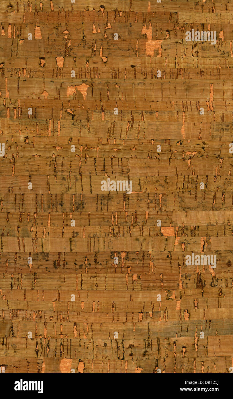 Alta risoluzione texture di sughero Foto Stock