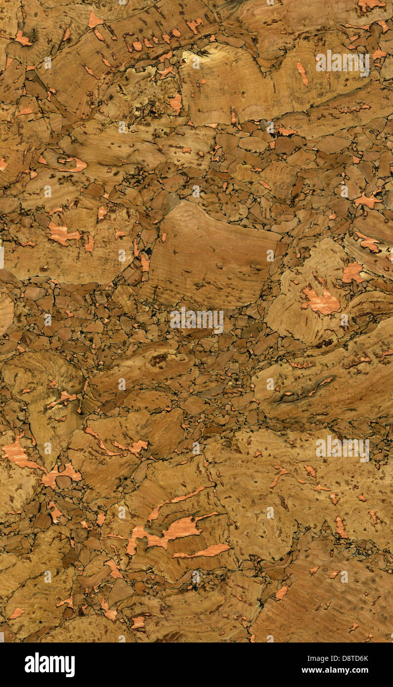 Alta risoluzione texture di sughero Foto Stock