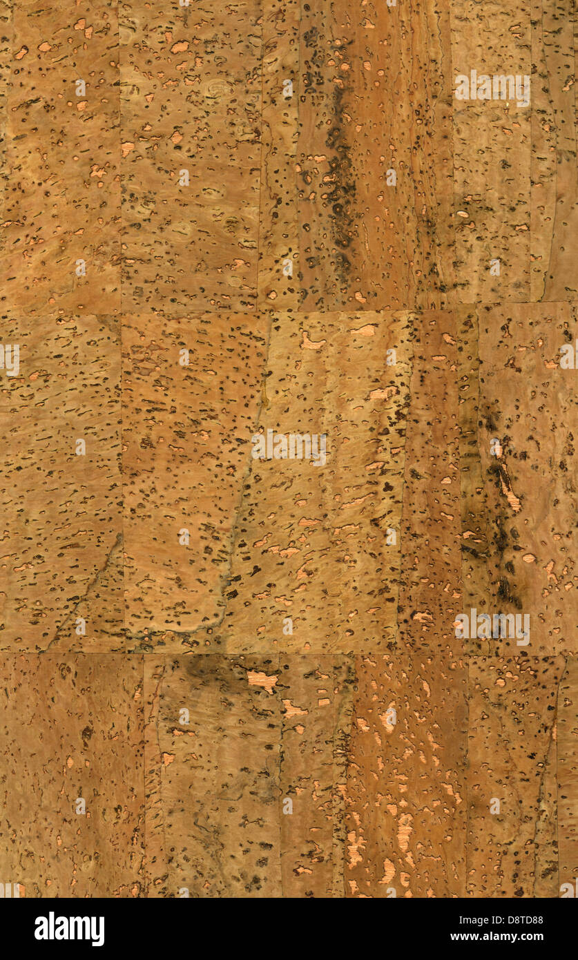Alta risoluzione texture di sughero Foto Stock