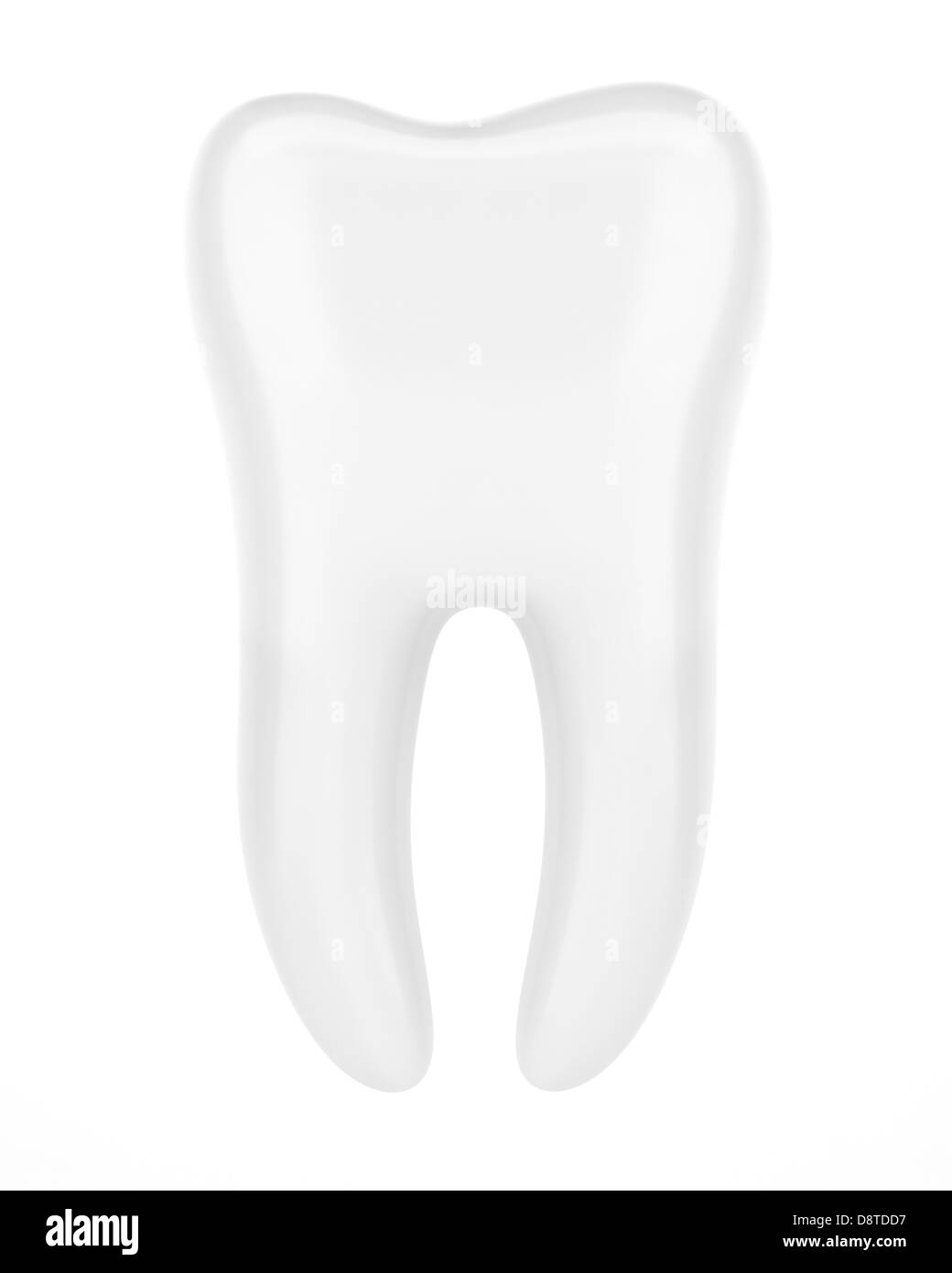 3d dente umano isolato su sfondo bianco Foto Stock