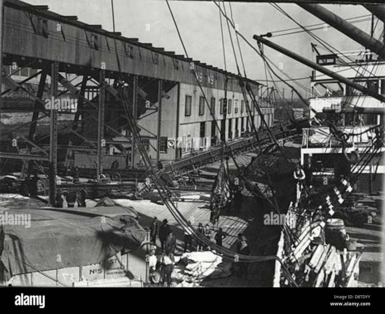 Questa fotografia in bianco e nero cattura il molo n. 8-9 a Glebe Island a Sydney, mettendo in evidenza le infrastrutture industriali marittime della zona. L'immagine riflette l'importanza storica dei moli nella storia della navigazione e del commercio di Sydney durante il XIX e XX secolo. Foto Stock