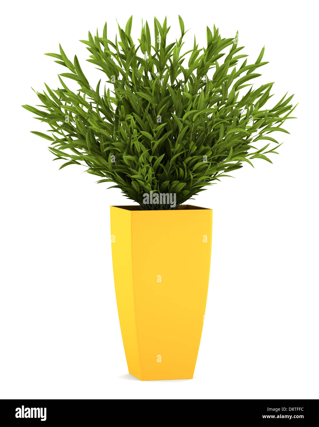 Houseplant decorativo in pentola giallo isolato Foto Stock