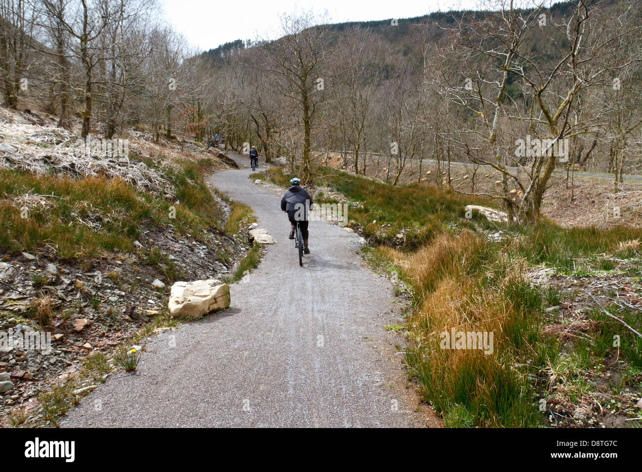 Mountain Bike nel Afan Valley, Galles del Sud Foto Stock