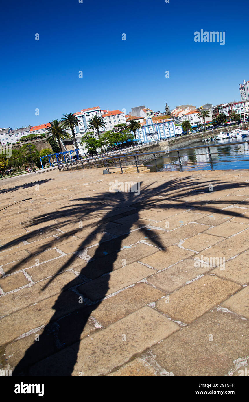 All'ombra di una Palma nel porto di Ferrol Foto Stock