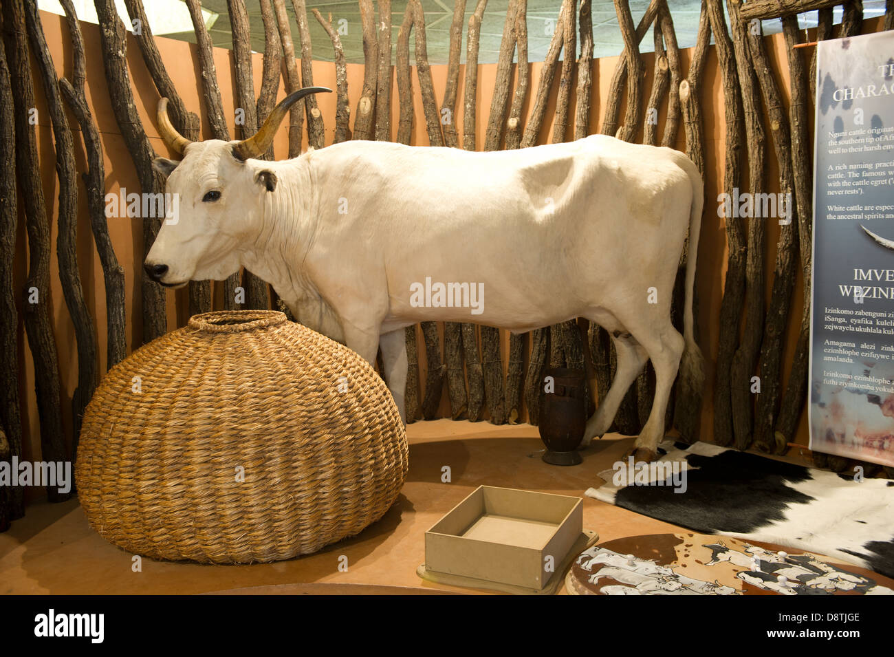 Schermo di KwaZulu storia culturale Museo a Ondini Heritage Site, Ulundi, Sud Africa Foto Stock