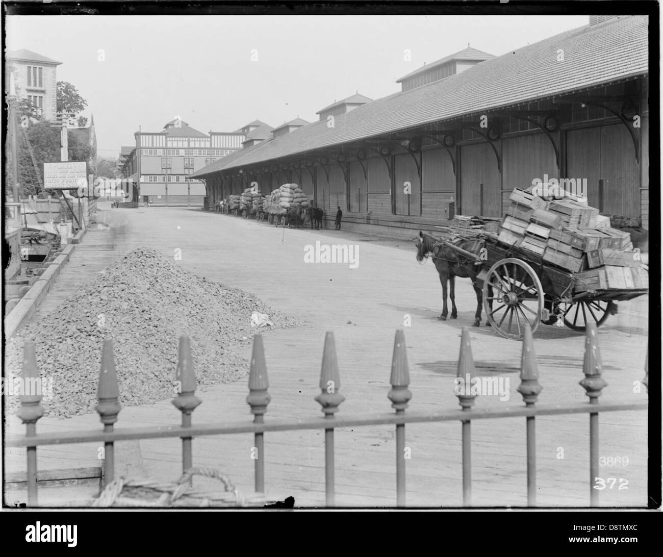 Questa fotografia in bianco e nero ritrae gli storici capannoni del molo a Cowper Wharf Road, Woolloomooloo, catturando una scena delle attività portuali dei primi anni del XX secolo di Sydney, tra cui l'uso di carri trainati da cavalli per il trasporto. Foto Stock