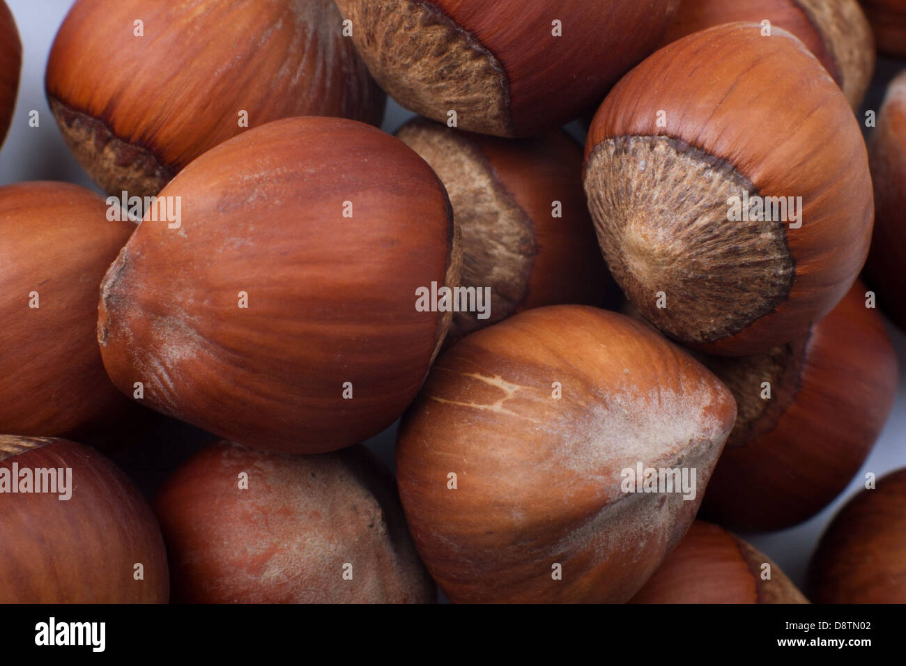 Una macro immagine di sfondo nocciole Foto Stock