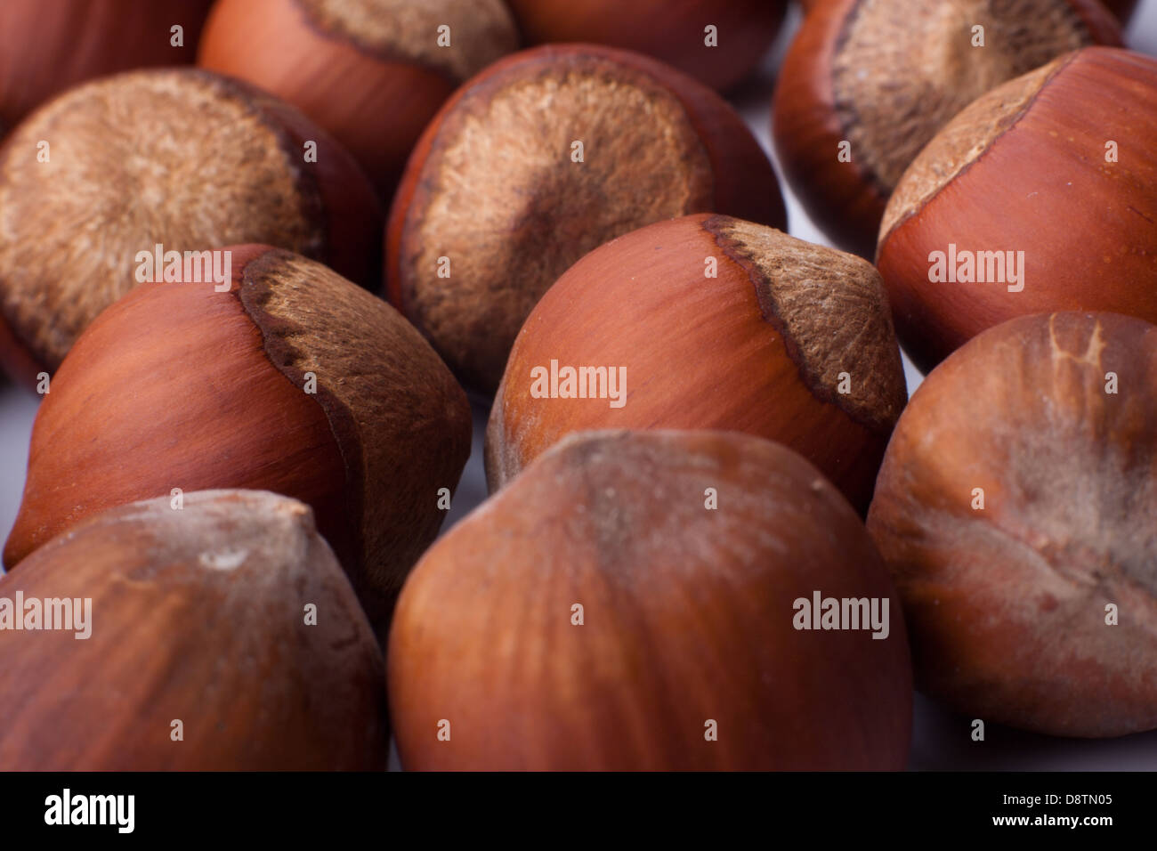 Una macro immagine di sfondo nocciole Foto Stock