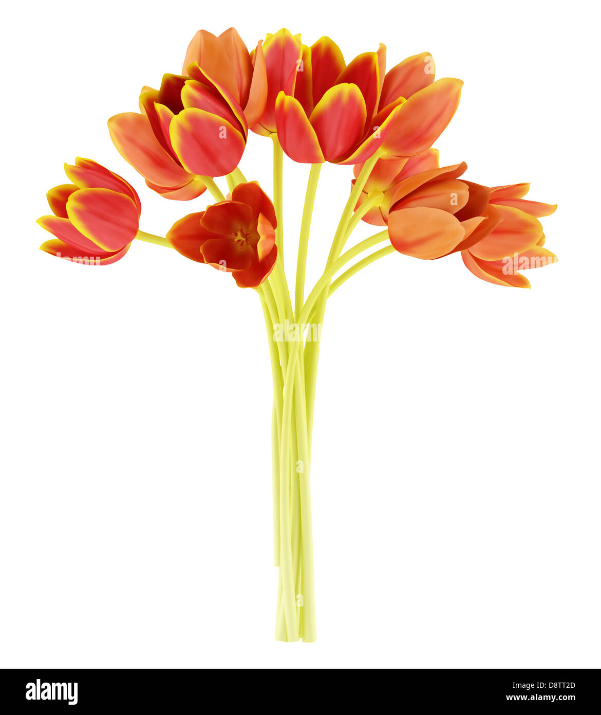 Bouquet di tulipani arancio isolato su bianco Foto Stock