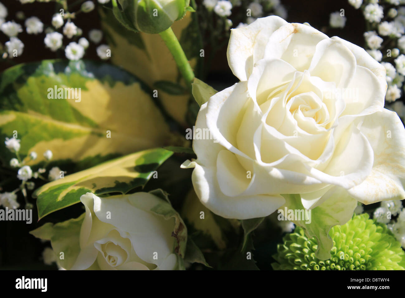 Primo piano della bella bianco nuziale bouquet di fiori Foto Stock