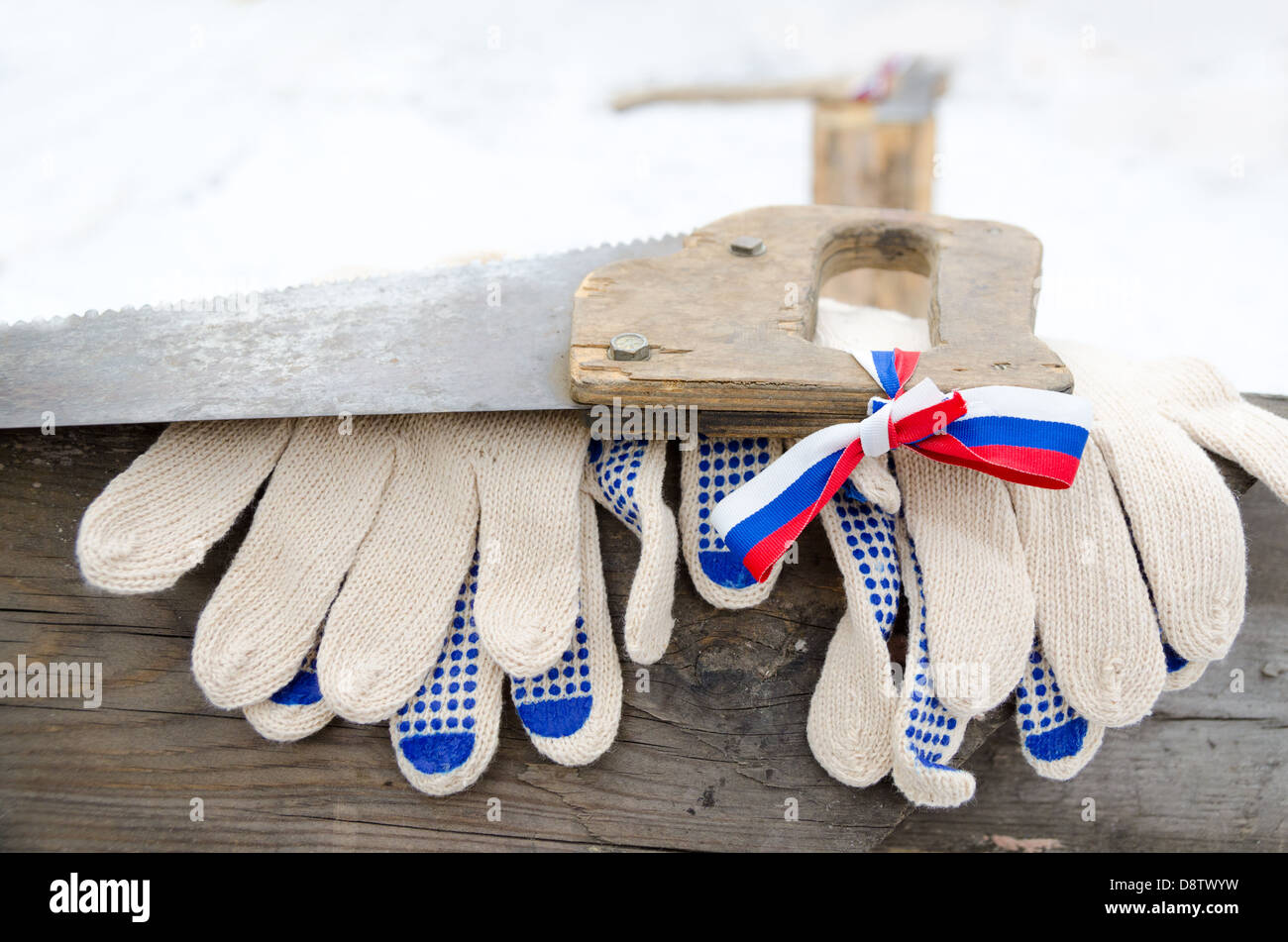 Log, handsaw e guanti da lavoro Foto Stock