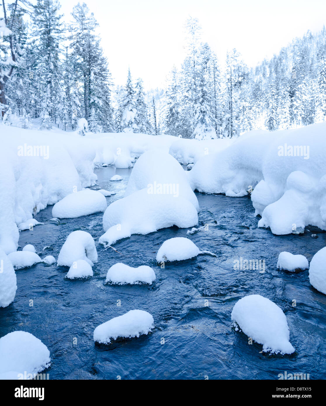 Flusso di foresta in inverno Foto Stock