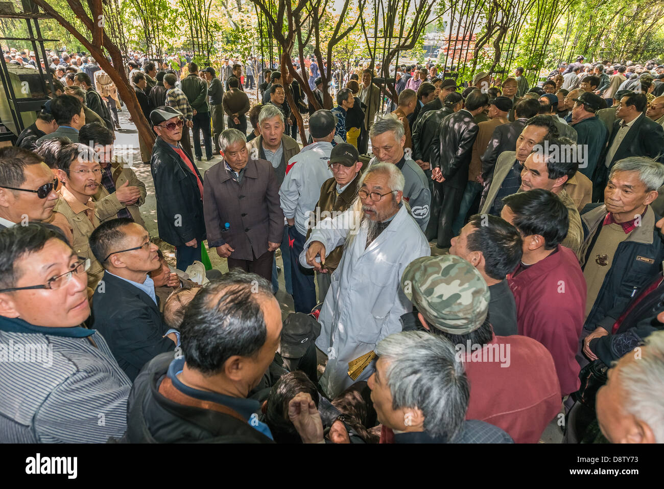 Shanghai, Cina - 7 Aprile 2013: un gruppo di persone per discutere in fuxing park presso la città di Shanghai in Cina il 7 aprile 2013 Foto Stock