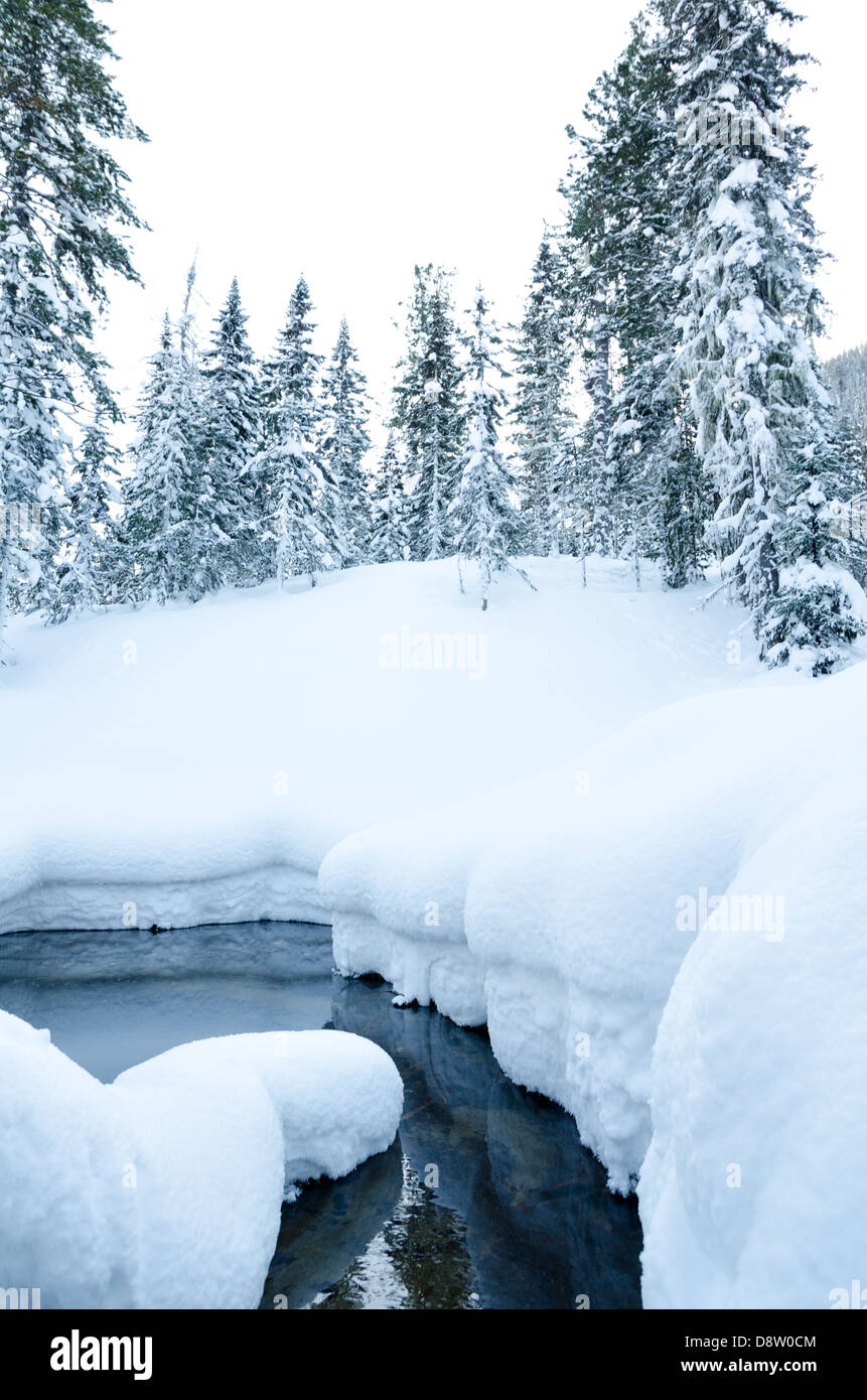 Inverno Foresta Fiume Foto Stock