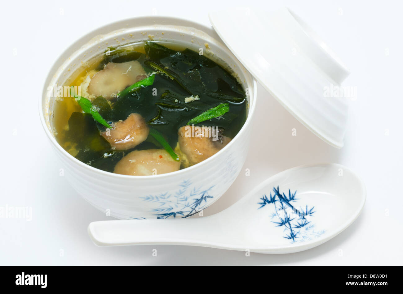 zuppa di alghe Foto Stock