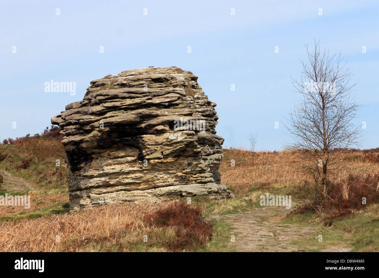 Formazione di roccia nel North Yorkshire Moors National Park, Inghilterra. Foto Stock