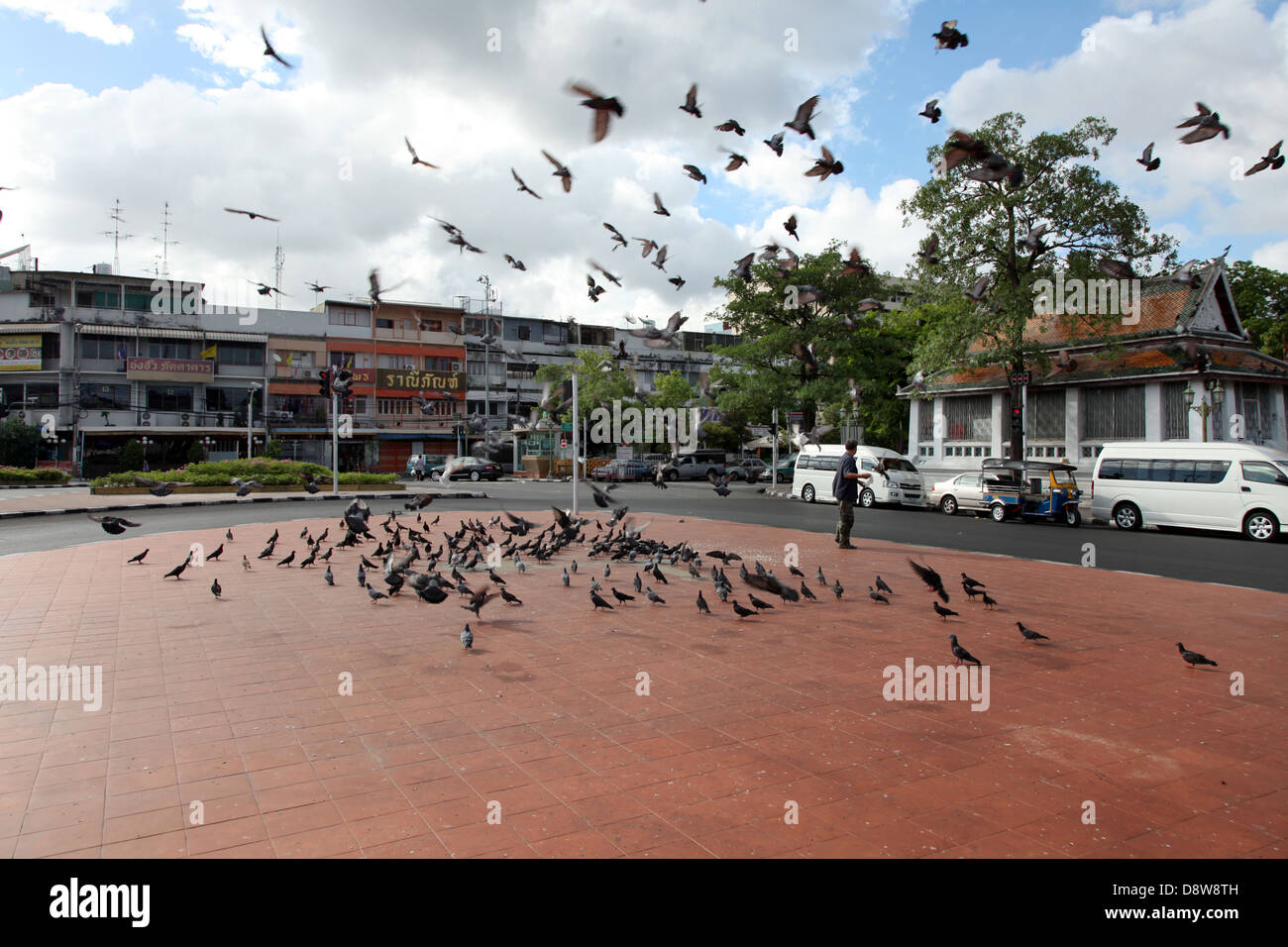 Si tratta di una foto di molti uccelli che volano lontano da spavento in piazza a Bangkok in Thailandia. Non vi è nessuno in giro per la strada Foto Stock