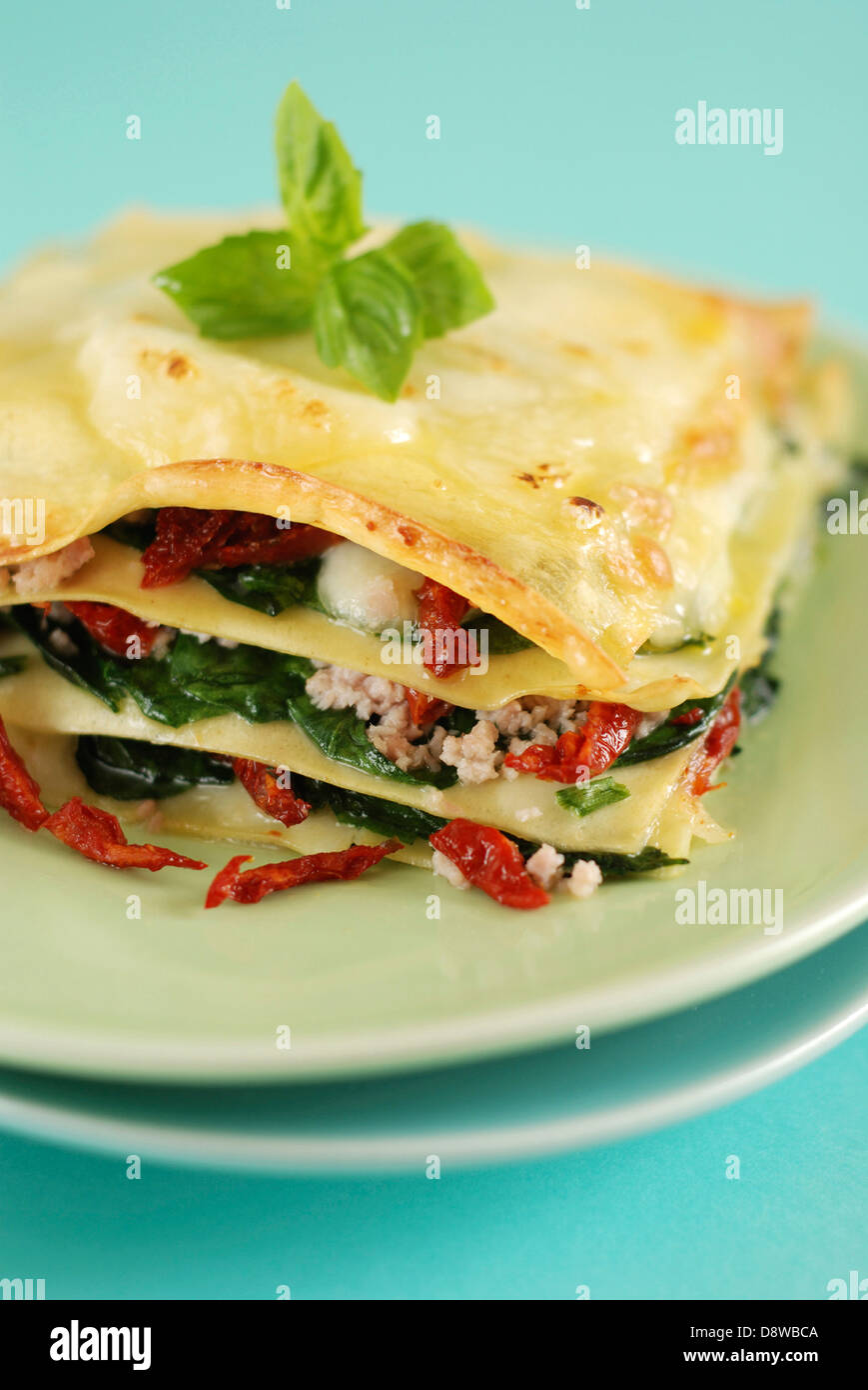 Mozzarella, pomodoro essiccato,gli spinaci e erba cipollina lasagne Foto Stock