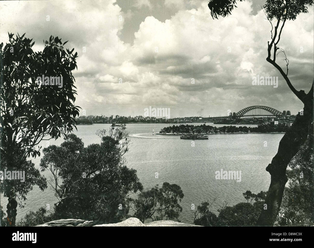 Questa vista dal Taronga Park Zoo nel New South Wales mostra il porto di Sydney, offrendo una vista chiara dell'iconico Sydney Harbour Bridge e delle acque circostanti. L'immagine cattura un popolare punto panoramico di uno dei monumenti più famosi dell'Australia. Foto Stock