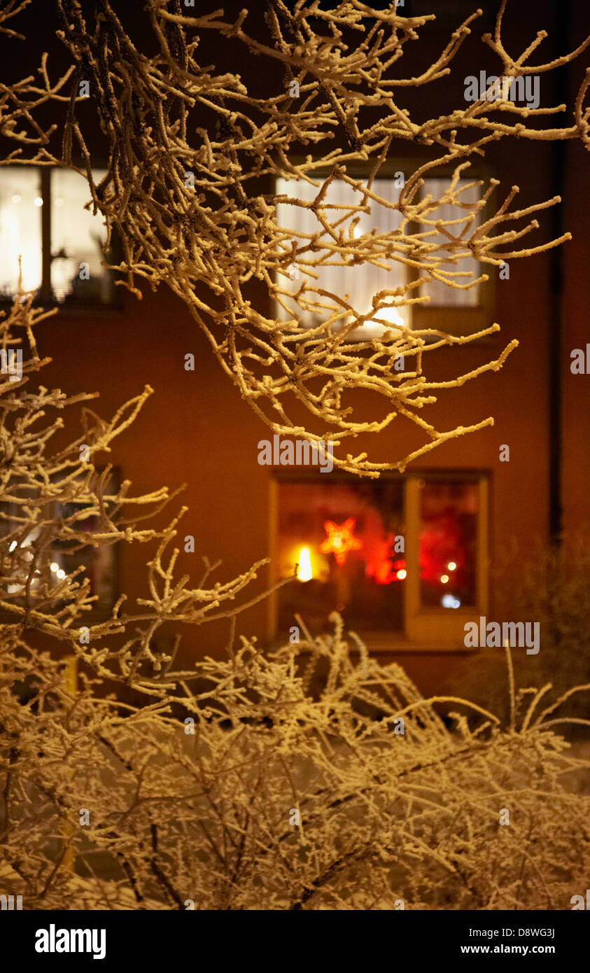 Decorazione di natale in vetro smerigliato, ramoscelli in primo piano Foto Stock